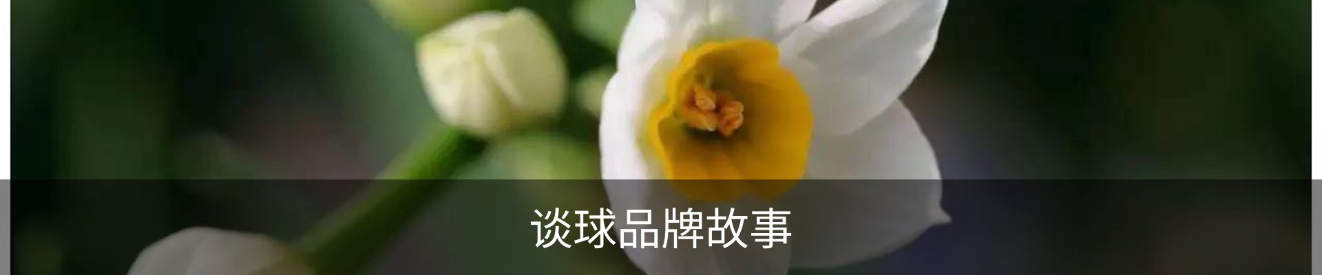 谈球品牌故事